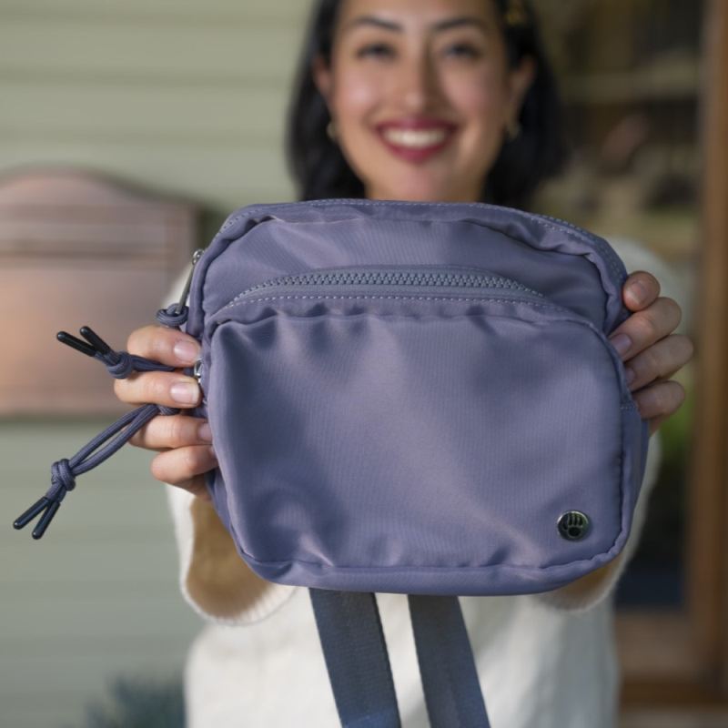 Bearpaw Women's Square Double Zip Waist Bag/Sling Dark Gray